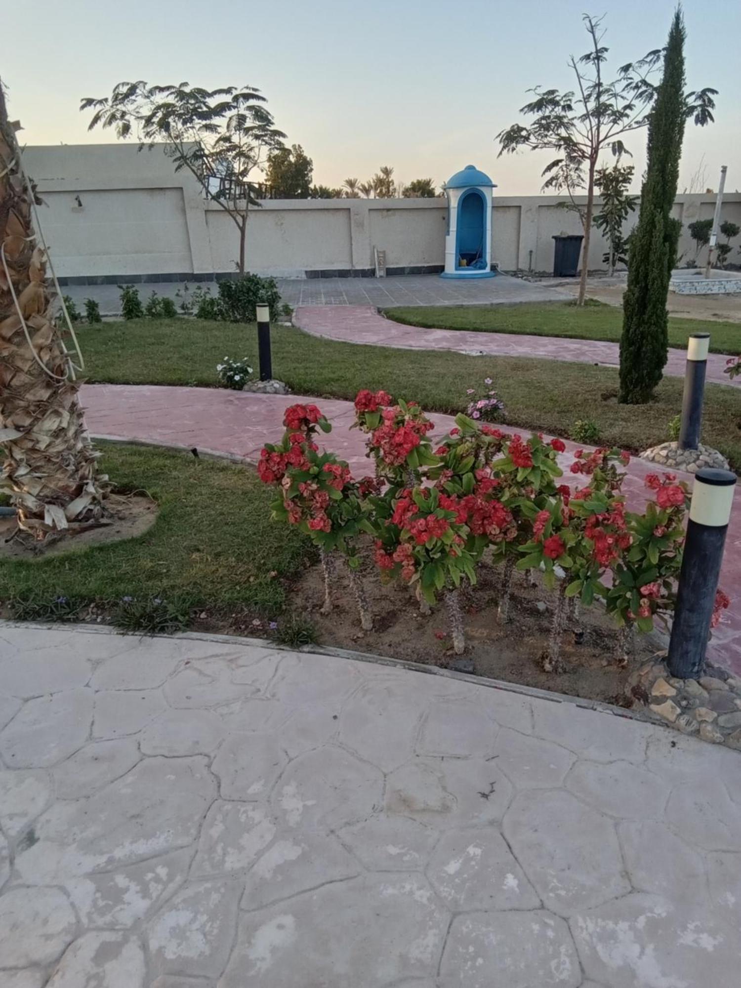 Casablanca Beach For Families And Couples Only Lejlighedshotel Hurghada Eksteriør billede
